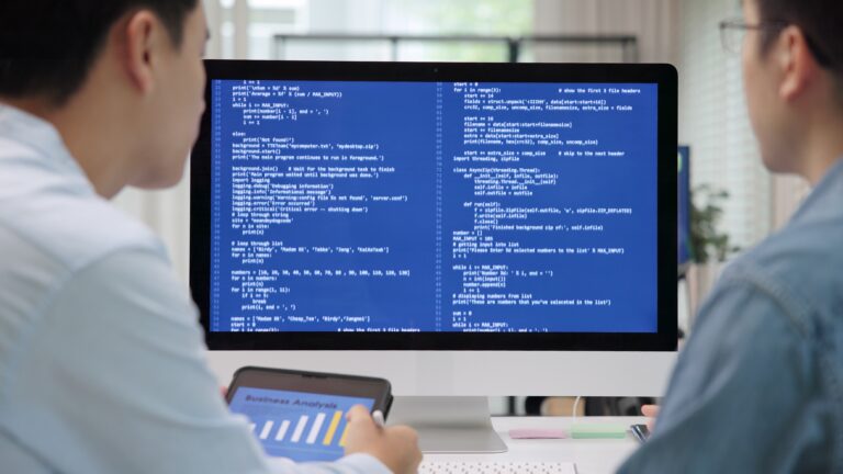 Professionlal web development services